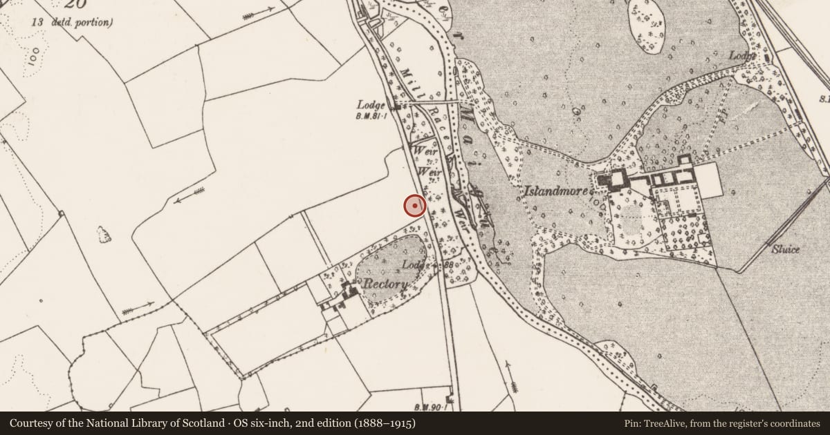Ordnance Survey six-inch map, 2nd edition (1888–1915) covering the location of Ring-ditch, Croom, County Limerick, with a pin at the register's coordinates