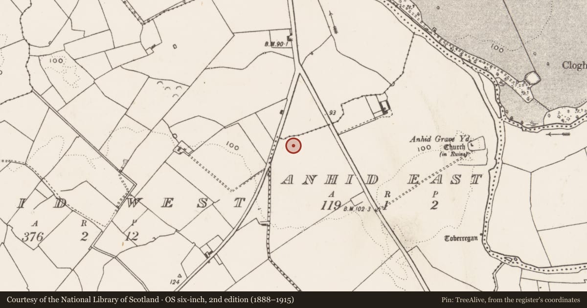 Ordnance Survey six-inch map, 2nd edition (1888–1915) covering the location of Enclosure, Anhid East, County Limerick, with a pin at the register's coordinates