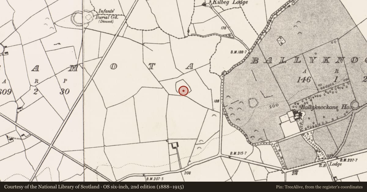 Ordnance Survey six-inch map, 2nd edition (1888–1915) covering the location of Enclosure, Lissamota, County Limerick, with a pin at the register's coordinates