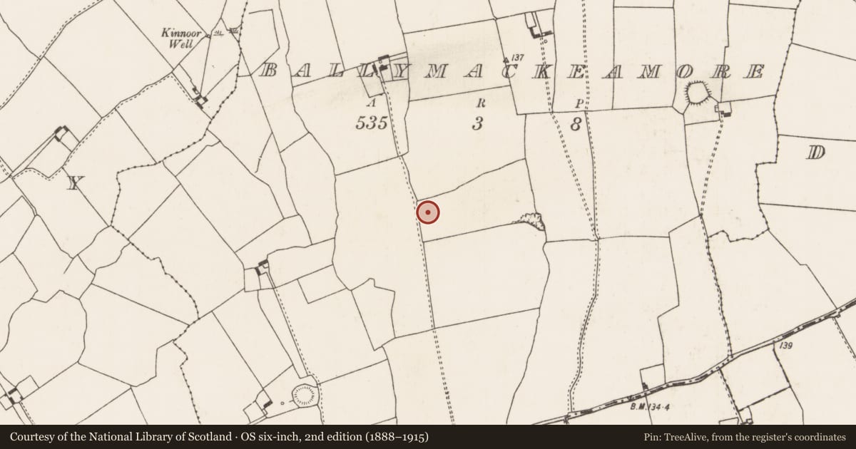 Ordnance Survey six-inch map, 2nd edition (1888–1915) covering the location of Excavation - miscellaneous, Ballymackeamore, County Limerick, with a pin at the register's coordinates