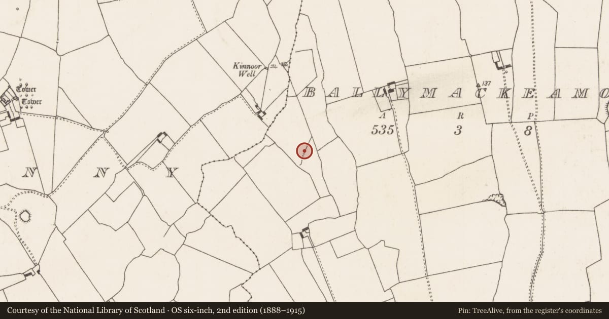 Ordnance Survey six-inch map, 2nd edition (1888–1915) covering the location of Excavation - miscellaneous, Ballymackeamore, County Limerick, with a pin at the register's coordinates