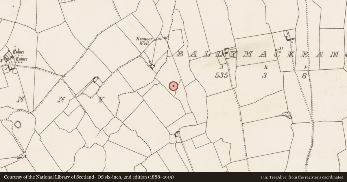Ordnance Survey six-inch map, 2nd edition (1888–1915) covering the location of Burnt spread, Ballymackeamore, County Limerick, with a pin at the register's coordinates