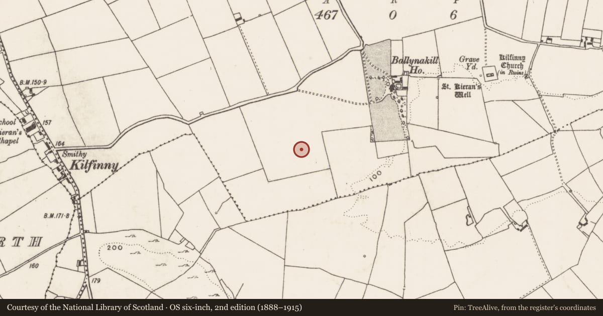 Ordnance Survey six-inch map, 2nd edition (1888–1915) covering the location of Excavation - miscellaneous, Ballynakill, County Limerick, with a pin at the register's coordinates