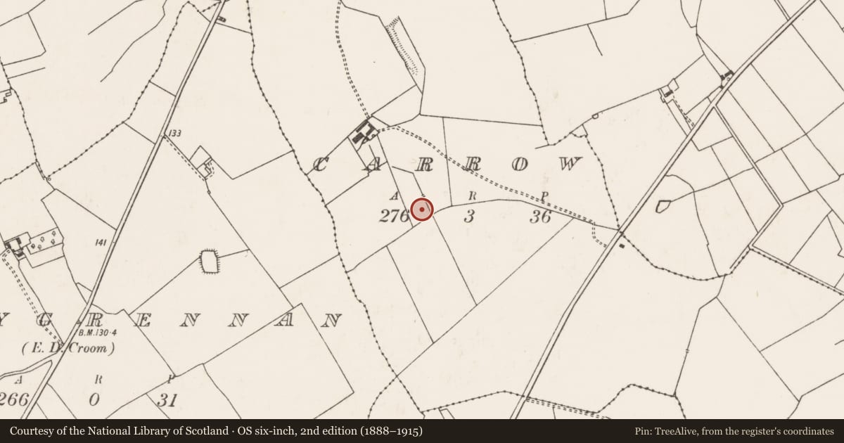 Ordnance Survey six-inch map, 2nd edition (1888–1915) covering the location of Pit, Carrow, County Limerick, with a pin at the register's coordinates