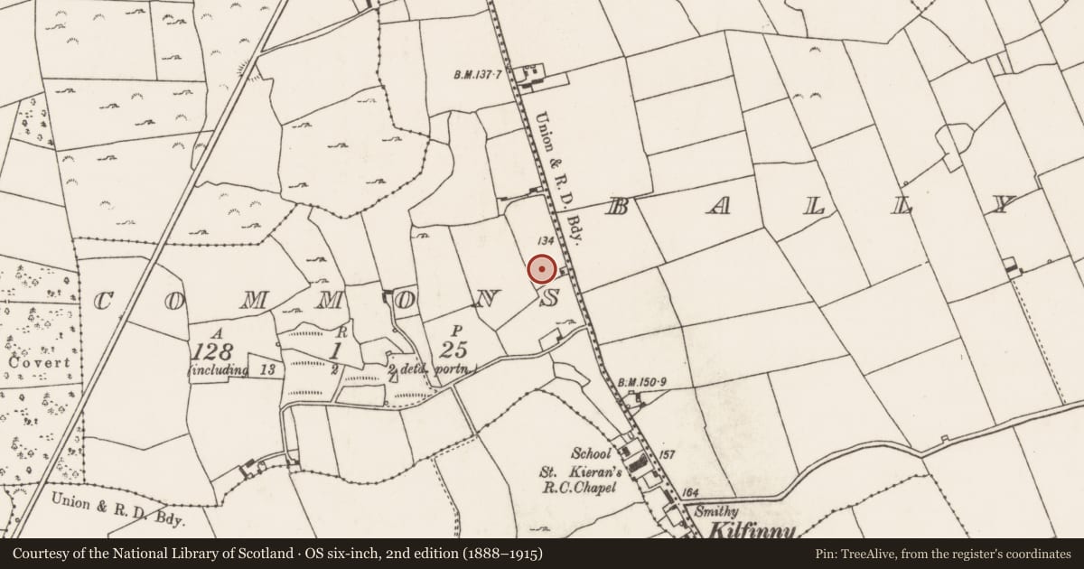 Ordnance Survey six-inch map, 2nd edition (1888–1915) covering the location of Excavation - miscellaneous, Commons, County Limerick, with a pin at the register's coordinates