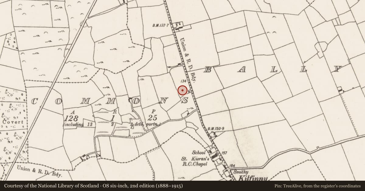 Ordnance Survey six-inch map, 2nd edition (1888–1915) covering the location of Fulacht fia, Commons, County Limerick, with a pin at the register's coordinates
