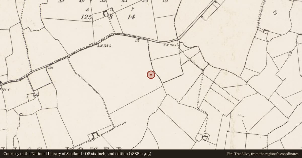 Ordnance Survey six-inch map, 2nd edition (1888–1915) covering the location of Metalworking site, Dollas Lower, County Limerick, with a pin at the register's coordinates