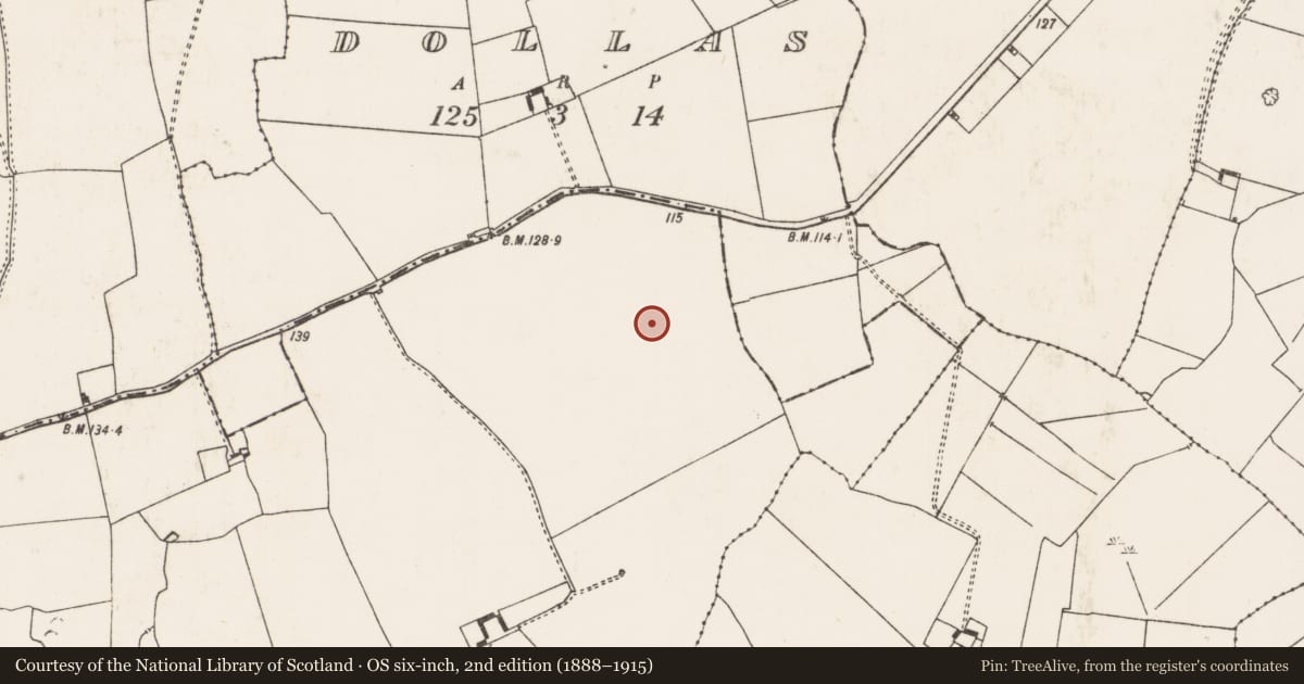 Ordnance Survey six-inch map, 2nd edition (1888–1915) covering the location of Field boundary, Dollas Lower, County Limerick, with a pin at the register's coordinates