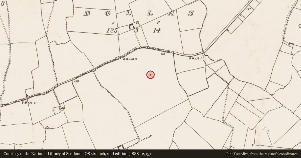 Ordnance Survey six-inch map, 2nd edition (1888–1915) covering the location of Excavation - miscellaneous, Dollas Lower, County Limerick, with a pin at the register's coordinates