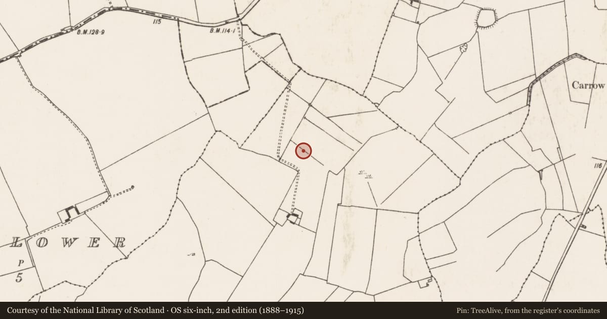 Ordnance Survey six-inch map, 2nd edition (1888–1915) covering the location of Burnt mound, Dollas Upper, County Limerick, with a pin at the register's coordinates