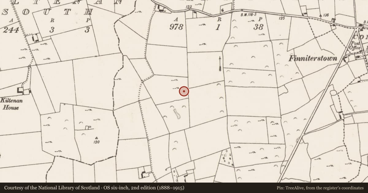 Ordnance Survey six-inch map, 2nd edition (1888–1915) covering the location of Fulacht fia, Finniterstown, County Limerick, with a pin at the register's coordinates