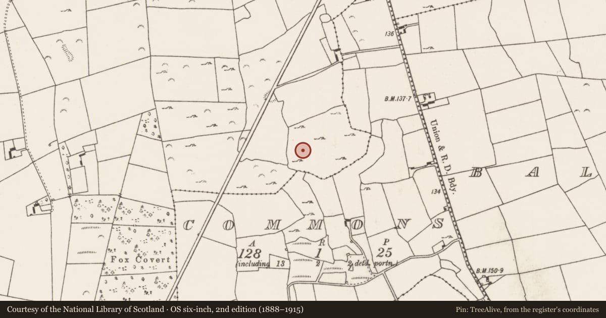 Ordnance Survey six-inch map, 2nd edition (1888–1915) covering the location of Pit, Finniterstown, County Limerick, with a pin at the register's coordinates