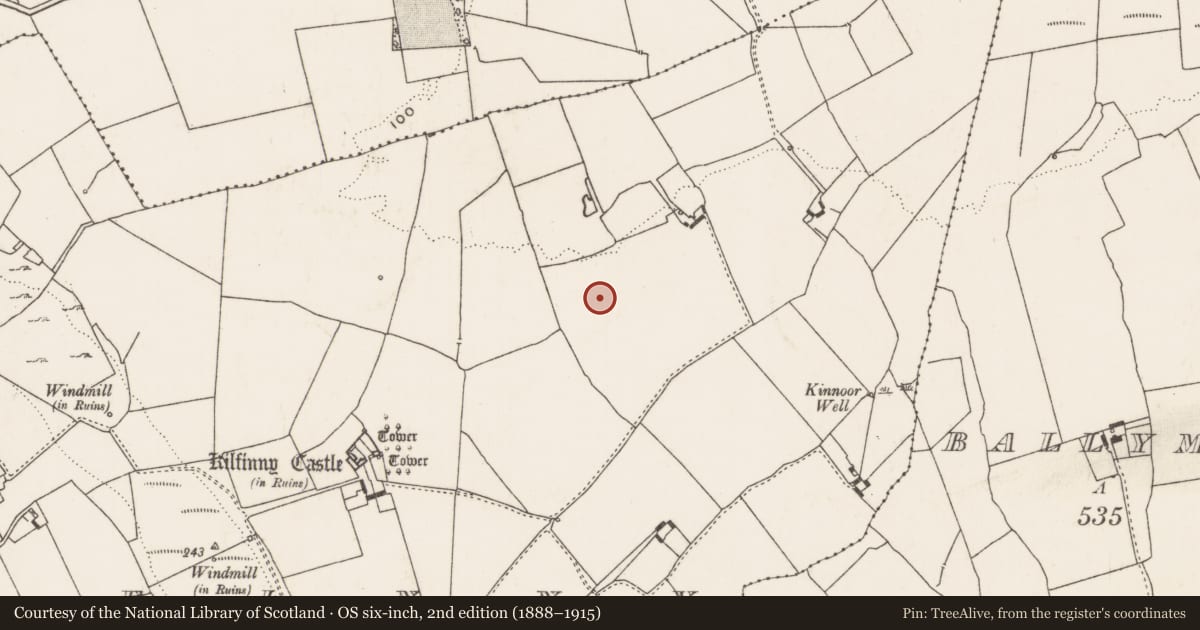 Ordnance Survey six-inch map, 2nd edition (1888–1915) covering the location of Fulacht fia, Kilfinny, County Limerick, with a pin at the register's coordinates