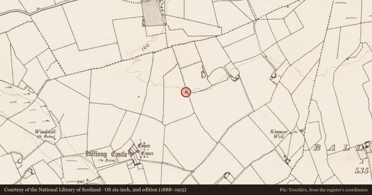 Ordnance Survey six-inch map, 2nd edition (1888–1915) covering the location of Fulacht fia, Kilfinny, County Limerick, with a pin at the register's coordinates