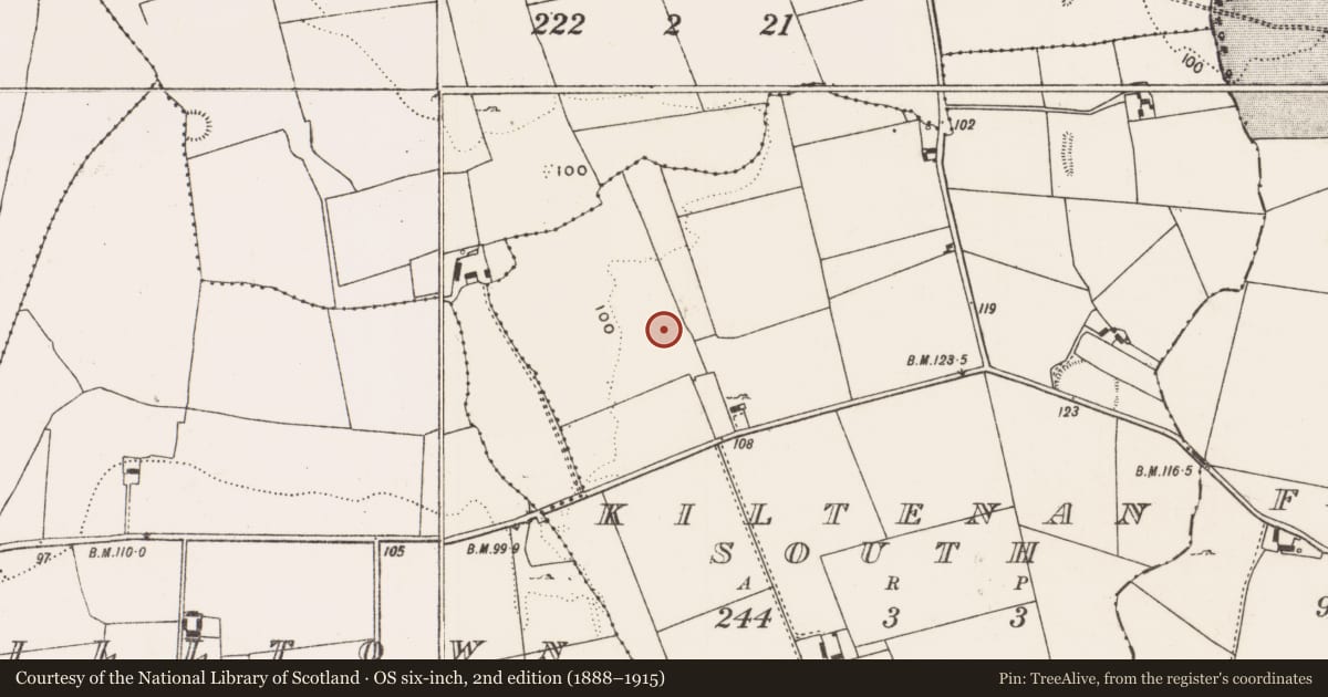 Ordnance Survey six-inch map, 2nd edition (1888–1915) covering the location of Kiln, Kiltenan South, County Limerick, with a pin at the register's coordinates