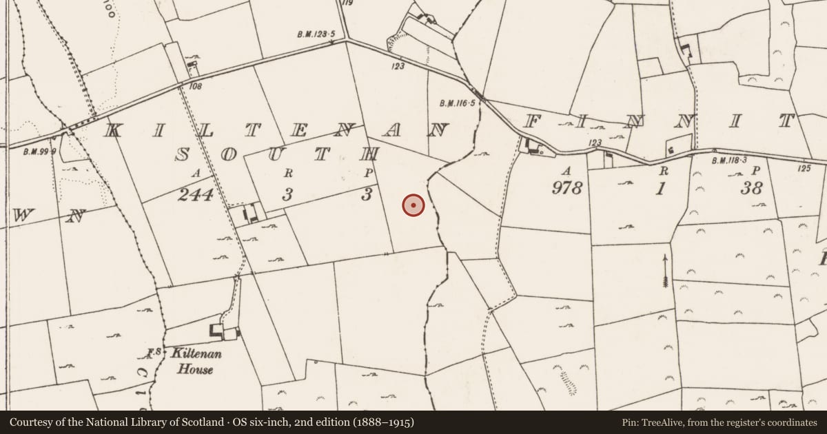 Ordnance Survey six-inch map, 2nd edition (1888–1915) covering the location of Fulacht fia, Kiltenan South, County Limerick, with a pin at the register's coordinates