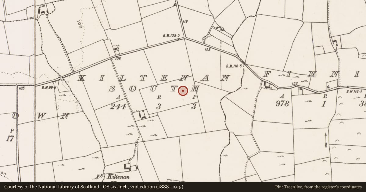 Ordnance Survey six-inch map, 2nd edition (1888–1915) covering the location of Furnace, Kiltenan South, County Limerick, with a pin at the register's coordinates