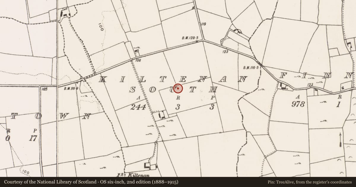 Ordnance Survey six-inch map, 2nd edition (1888–1915) covering the location of Flat cemetery, Kiltenan South, County Limerick, with a pin at the register's coordinates