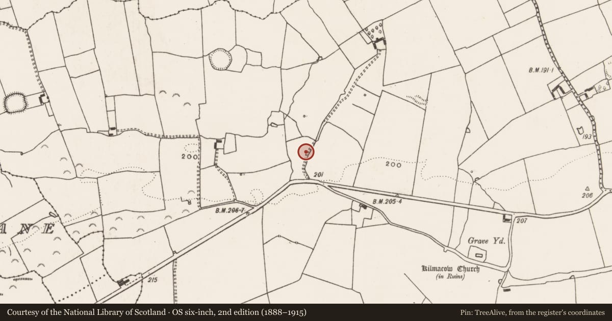 Ordnance Survey six-inch map, 2nd edition (1888–1915) covering the location of Moated site, Kilmacow, County Limerick, with a pin at the register's coordinates