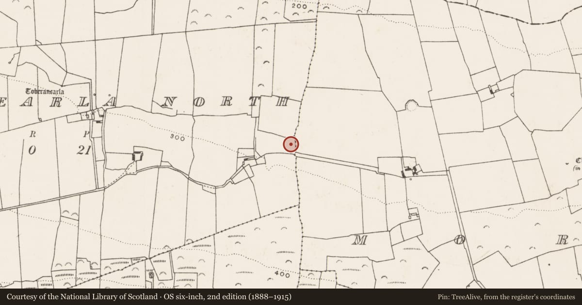 Ordnance Survey six-inch map, 2nd edition (1888–1915) covering the location of Fulacht fia, Kilmacanearla North, County Limerick, with a pin at the register's coordinates