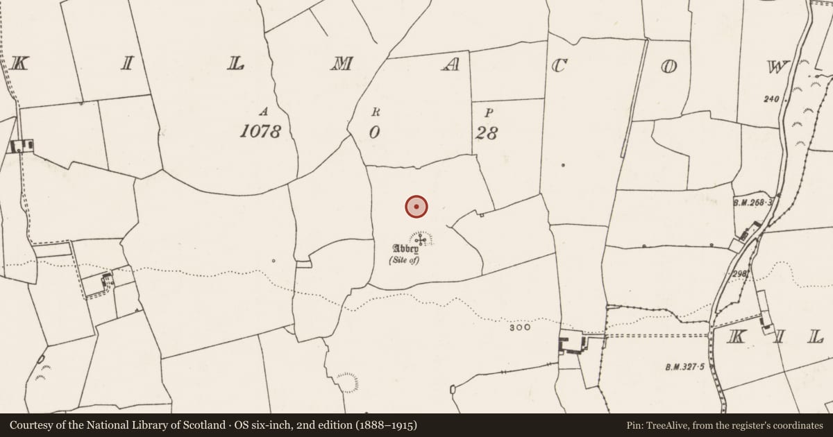 Ordnance Survey six-inch map, 2nd edition (1888–1915) covering the location of Ringfort - rath, Kilmacow, County Limerick, with a pin at the register's coordinates