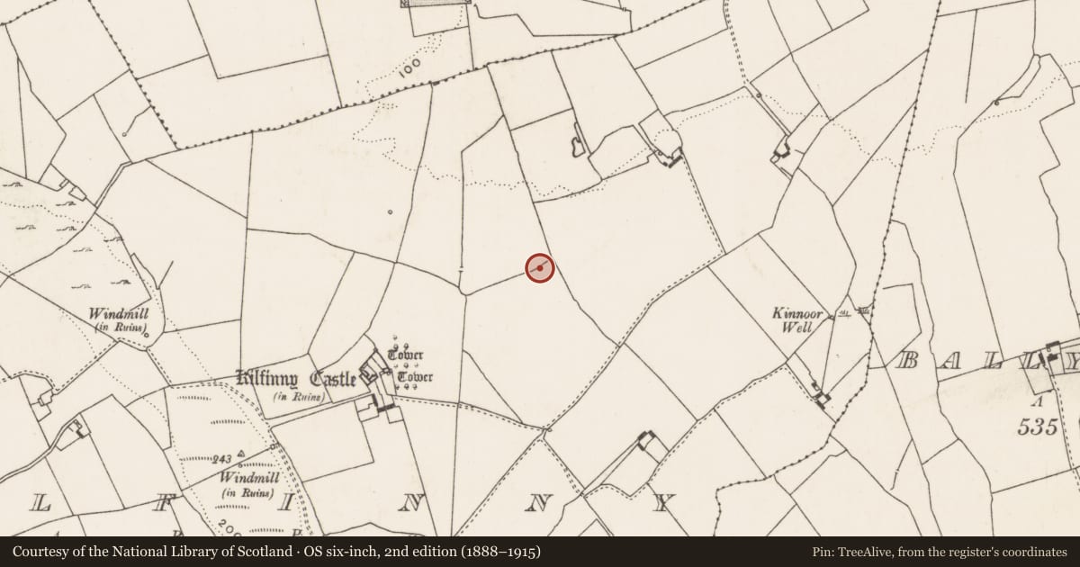 Ordnance Survey six-inch map, 2nd edition (1888–1915) covering the location of Fulacht fia, Kilfinny, County Limerick, with a pin at the register's coordinates