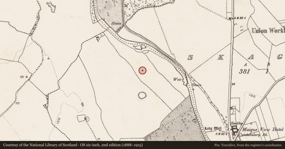 Ordnance Survey six-inch map, 2nd edition (1888–1915) covering the location of Burnt spread, Croom, County Limerick, with a pin at the register's coordinates