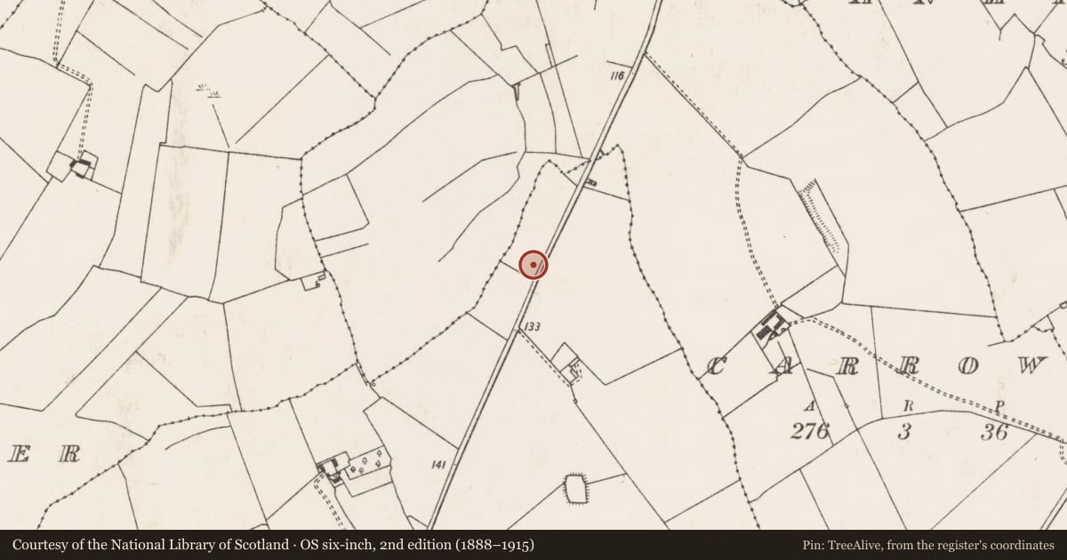 Ordnance Survey six-inch map, 2nd edition (1888–1915) covering the location of Excavation - miscellaneous, Ballygrennan, County Limerick, with a pin at the register's coordinates