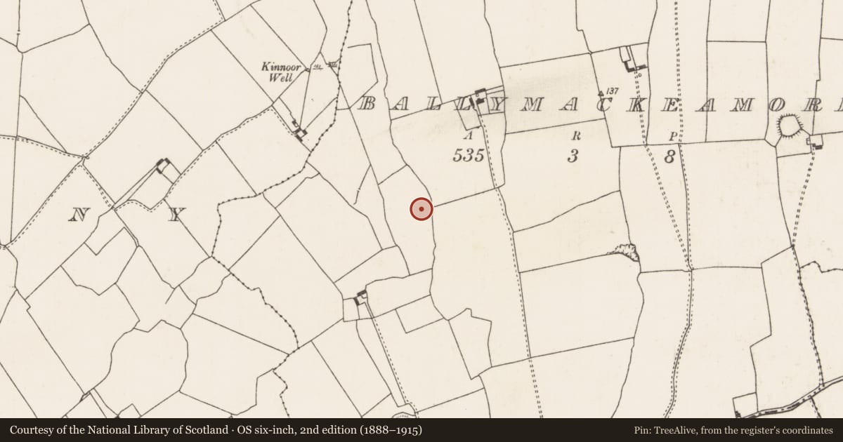 Ordnance Survey six-inch map, 2nd edition (1888–1915) covering the location of Fulacht fia, Ballymackeamore, County Limerick, with a pin at the register's coordinates