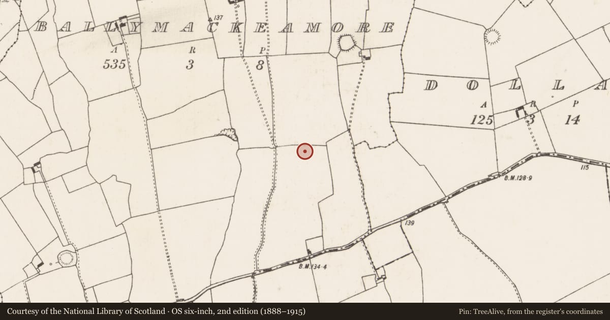 Ordnance Survey six-inch map, 2nd edition (1888–1915) covering the location of Excavation - miscellaneous, Ballymackeamore, County Limerick, with a pin at the register's coordinates