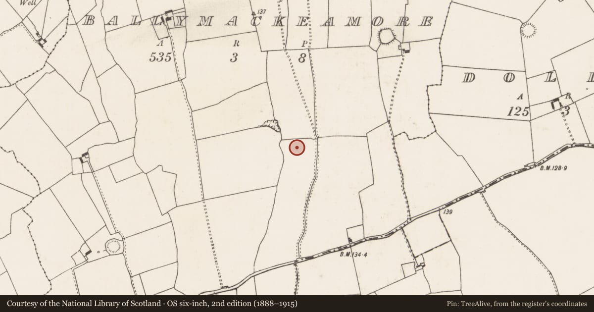 Ordnance Survey six-inch map, 2nd edition (1888–1915) covering the location of Pit, Ballymackeamore, County Limerick, with a pin at the register's coordinates