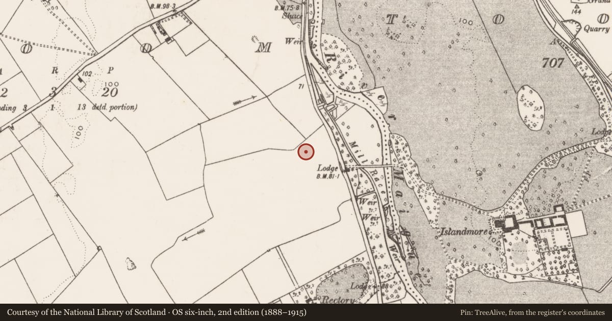 Ordnance Survey six-inch map, 2nd edition (1888–1915) covering the location of Ringfort - rath, Croom, County Limerick, with a pin at the register's coordinates