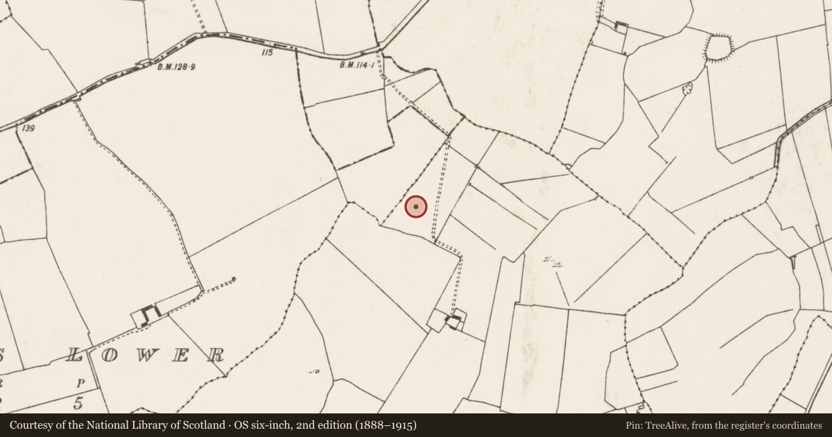 Ordnance Survey six-inch map, 2nd edition (1888–1915) covering the location of Brickworks, Dollas Upper, County Limerick, with a pin at the register's coordinates