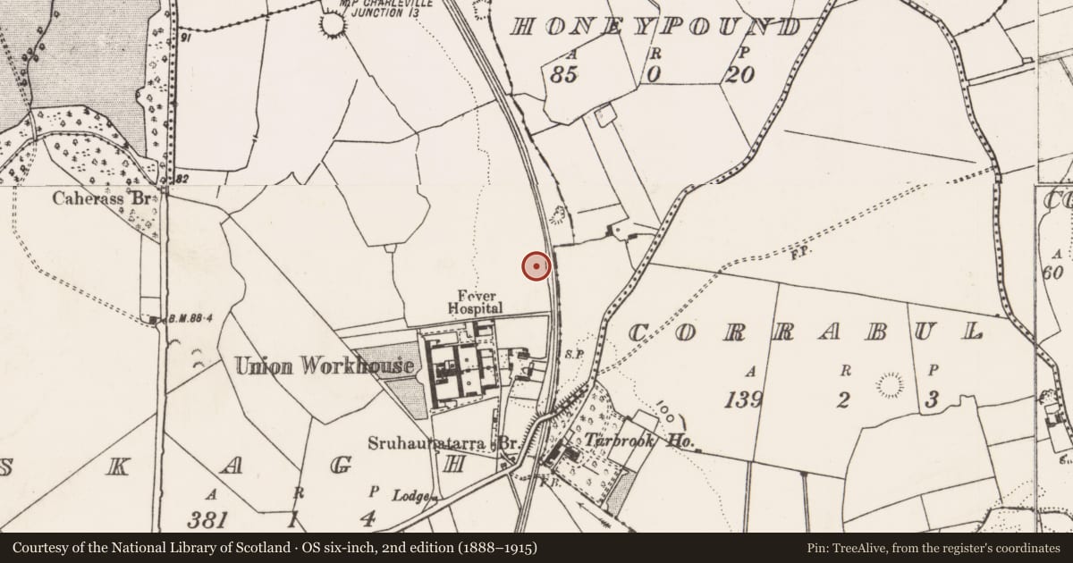 Ordnance Survey six-inch map, 2nd edition (1888–1915) covering the location of Enclosure, Skagh, County Limerick, with a pin at the register's coordinates