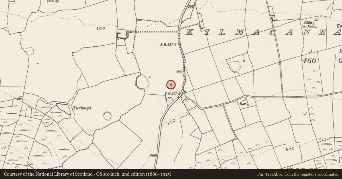 Ordnance Survey six-inch map, 2nd edition (1888–1915) covering the location of Enclosure, Killoughty, County Limerick, with a pin at the register's coordinates