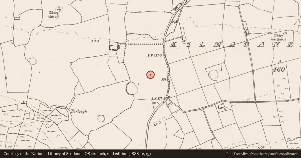 Ordnance Survey six-inch map, 2nd edition (1888–1915) covering the location of Earthwork, Killoughty, County Limerick, with a pin at the register's coordinates