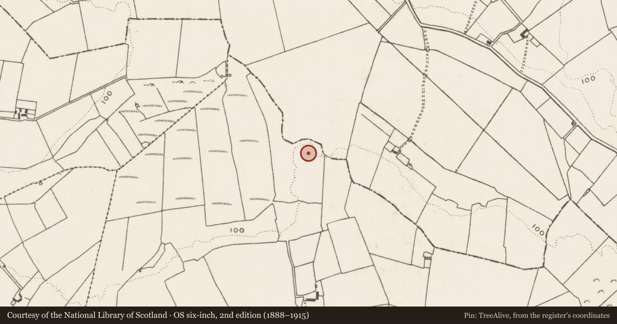 Ordnance Survey six-inch map, 2nd edition (1888–1915) covering the location of Enclosure - large enclosure, Ballymackeamore, County Limerick, with a pin at the register's coordinates