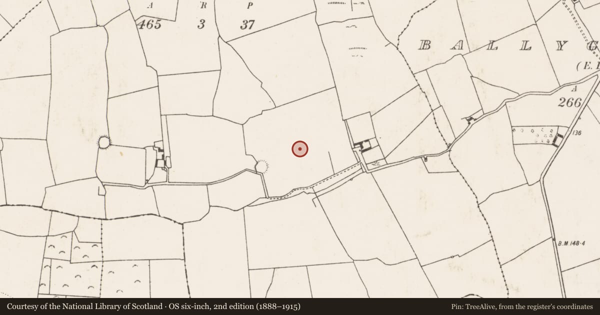 Ordnance Survey six-inch map, 2nd edition (1888–1915) covering the location of Enclosure, Dollas Upper, County Limerick, with a pin at the register's coordinates