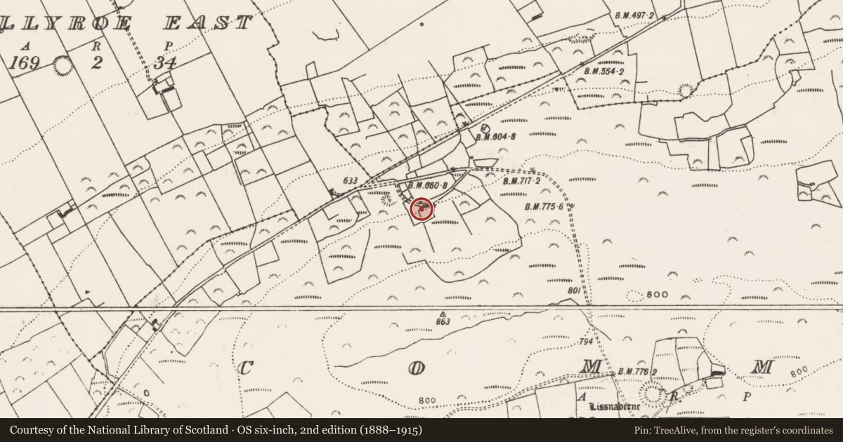 Ordnance Survey six-inch map, 2nd edition (1888–1915) covering the location of Sweathouse, Common, County Limerick, with a pin at the register's coordinates
