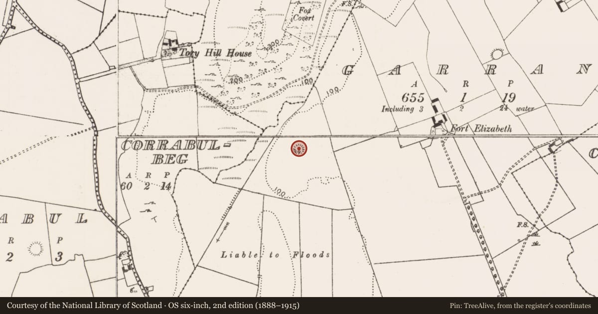 Ordnance Survey six-inch map, 2nd edition (1888–1915) covering the location of Barrow - ring-barrow, Garrane, County Limerick, with a pin at the register's coordinates