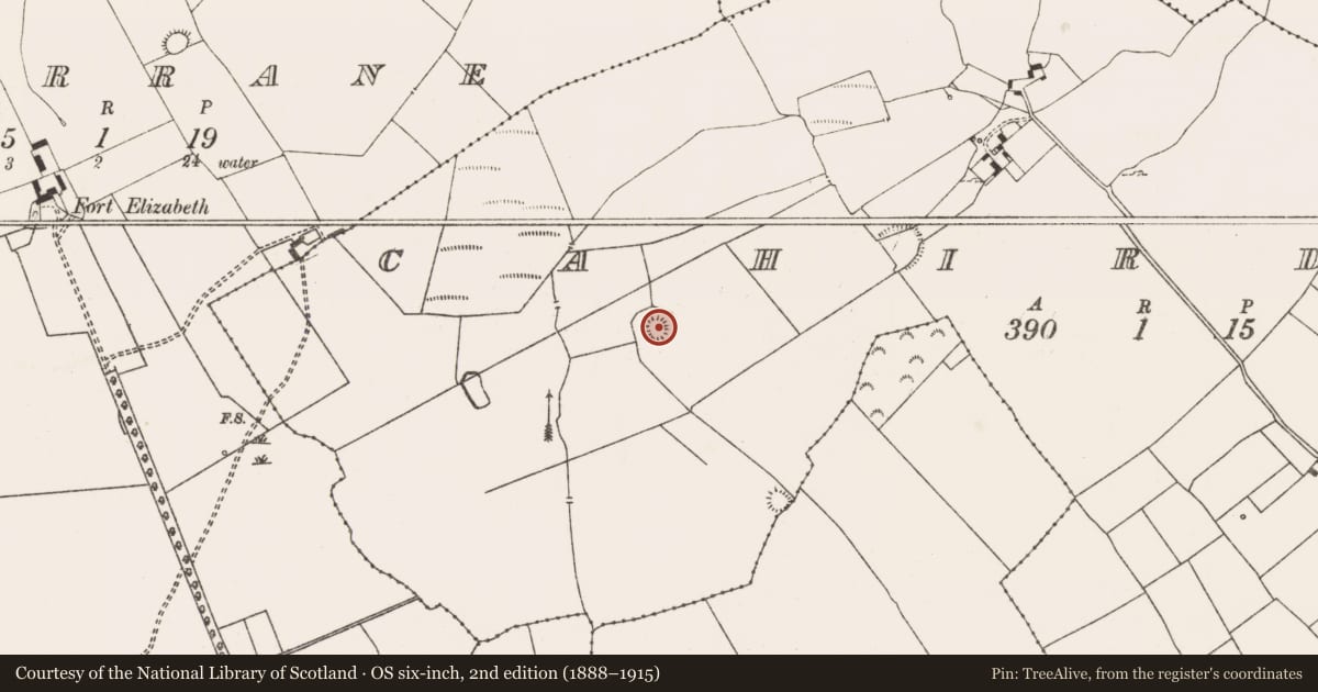 Ordnance Survey six-inch map, 2nd edition (1888–1915) covering the location of Ringfort - rath, Cahirduff, County Limerick, with a pin at the register's coordinates
