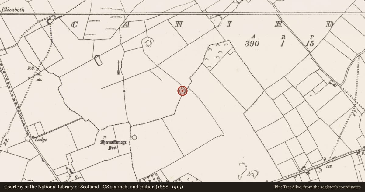 Ordnance Survey six-inch map, 2nd edition (1888–1915) covering the location of Ringfort - rath, Cahirduff, County Limerick, with a pin at the register's coordinates