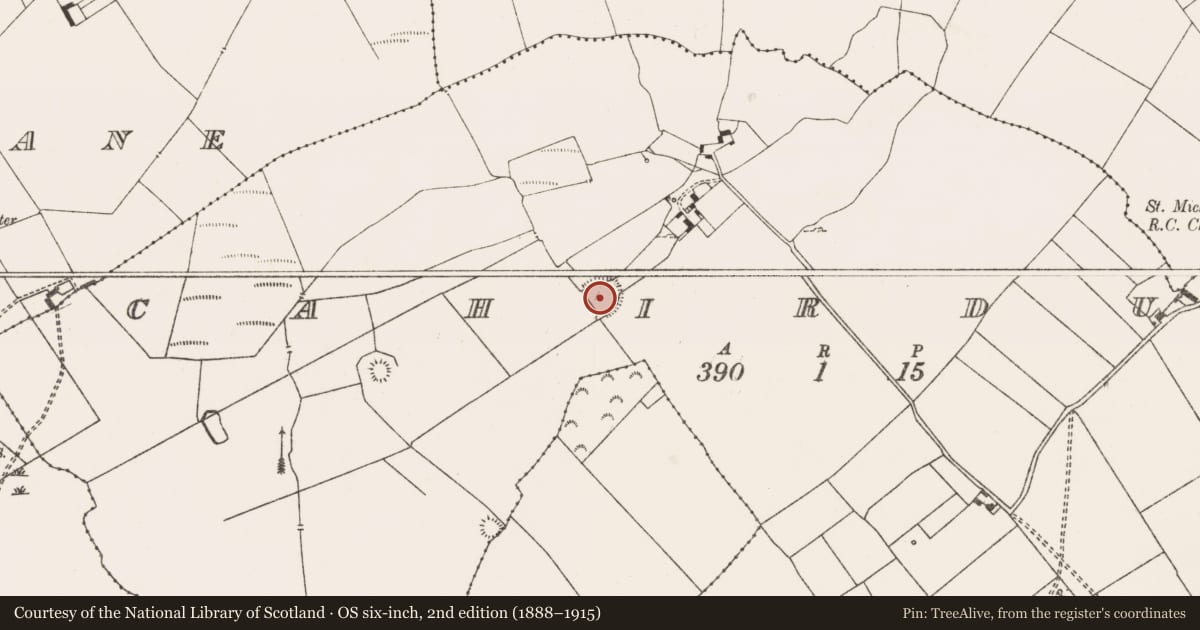 Ordnance Survey six-inch map, 2nd edition (1888–1915) covering the location of Ringfort - rath, Cahirduff, County Limerick, with a pin at the register's coordinates