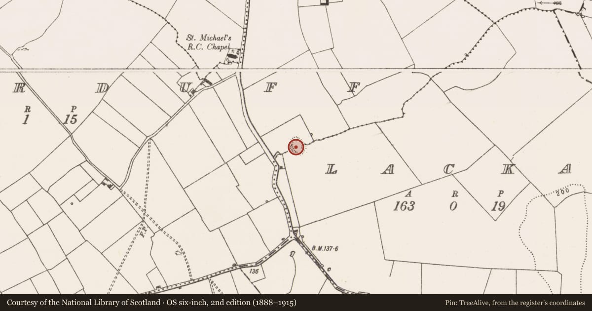 Ordnance Survey six-inch map, 2nd edition (1888–1915) covering the location of Ringfort - rath, Lacka, County Limerick, with a pin at the register's coordinates