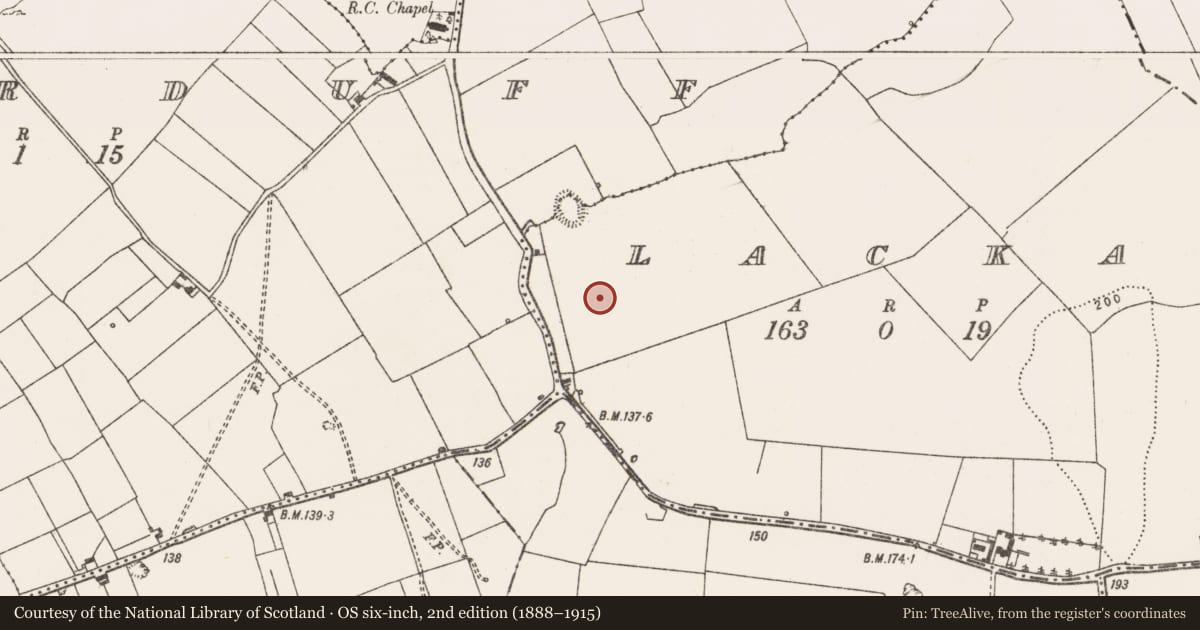 Ordnance Survey six-inch map, 2nd edition (1888–1915) covering the location of Ringfort - rath, Lacka, County Limerick, with a pin at the register's coordinates