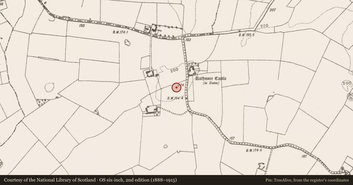 Ordnance Survey six-inch map, 2nd edition (1888–1915) covering the location of Mound, Rathmore South, County Limerick, with a pin at the register's coordinates