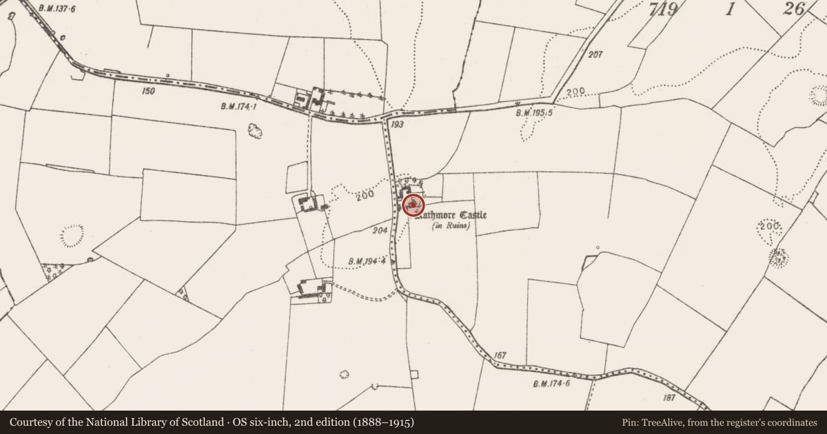 Ordnance Survey six-inch map, 2nd edition (1888–1915) covering the location of Castle - tower house, Rathmore North, County Limerick, with a pin at the register's coordinates