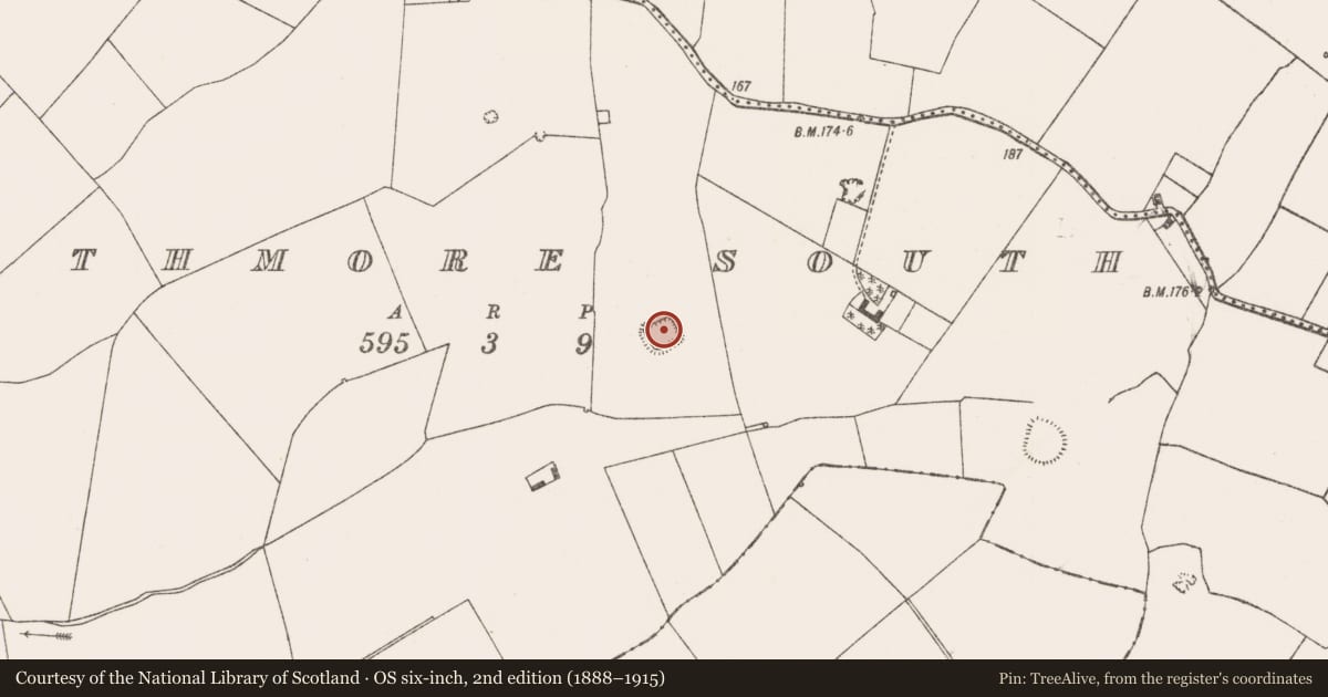Ordnance Survey six-inch map, 2nd edition (1888–1915) covering the location of Moated site, Rathmore South, County Limerick, with a pin at the register's coordinates