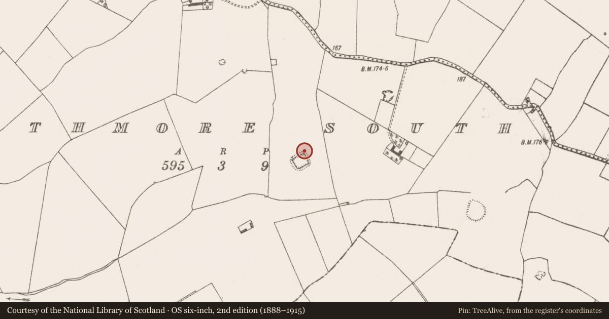 Ordnance Survey six-inch map, 2nd edition (1888–1915) covering the location of Standing stone, Rathmore South, County Limerick, with a pin at the register's coordinates