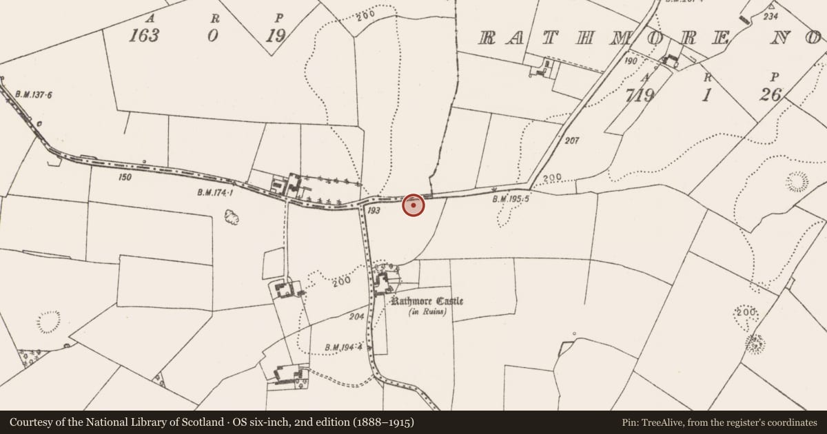 Ordnance Survey six-inch map, 2nd edition (1888–1915) covering the location of Excavation - miscellaneous, Rathmore North, County Limerick, with a pin at the register's coordinates